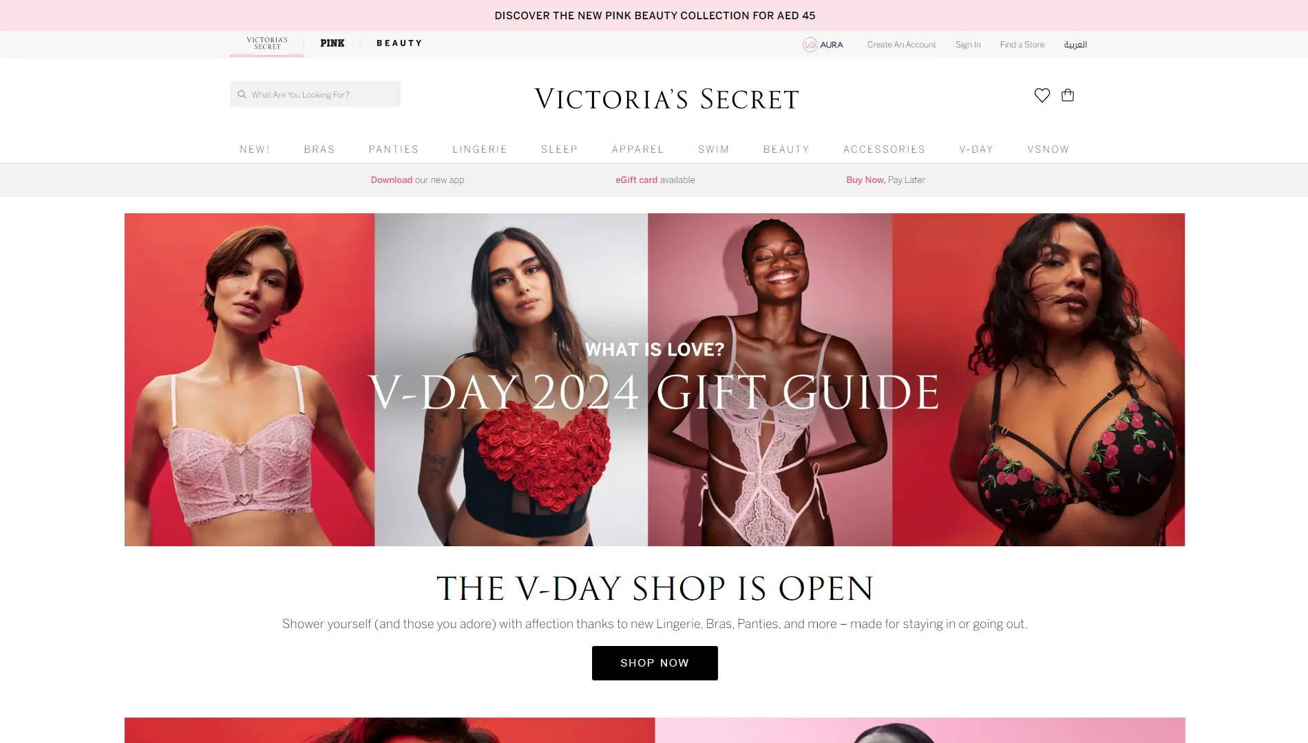 Victoria's Secret logo